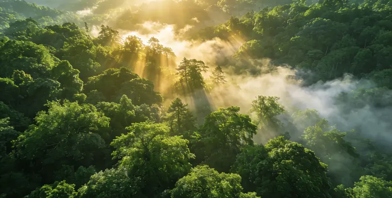 吕梁肺癌11基因检测组织版图片1