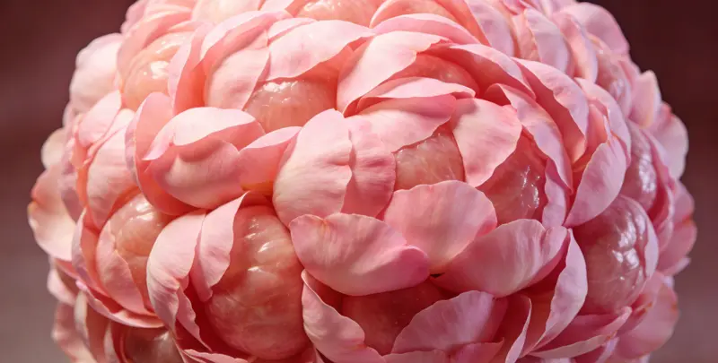 吕梁BRCA1/2乳腺癌卵巢癌基因检测图片1